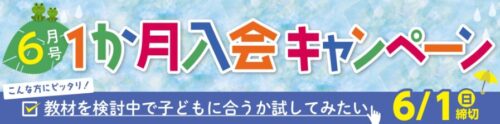 ポピーキャンペーン