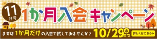 ポピーキャンペーン