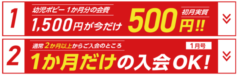 幼児ポピーキャンペーン