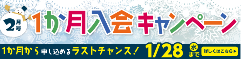 ポピーキャンペーン