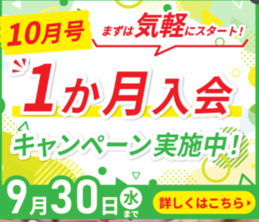 ポピーキャンペーン
