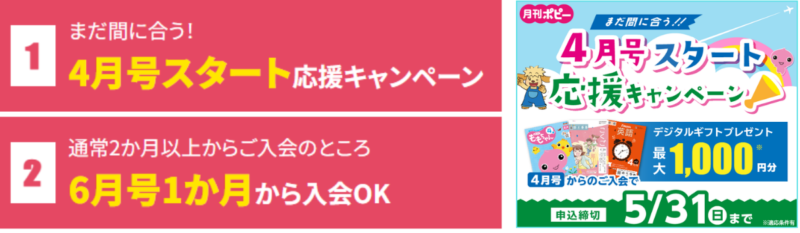 ポピーキャンペーン