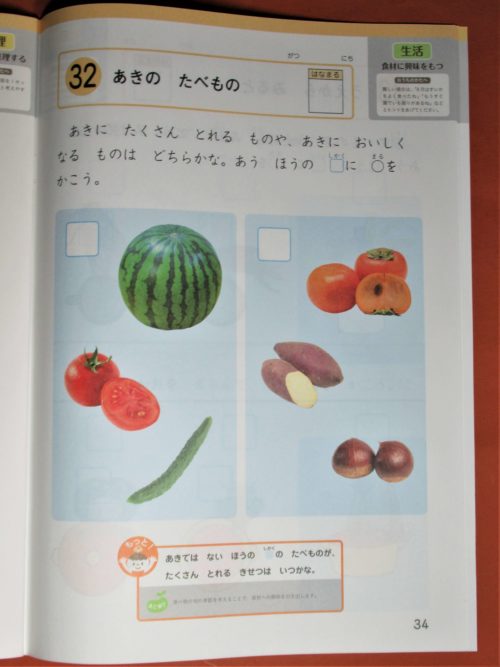 Z会幼児コース考えるちからワーク